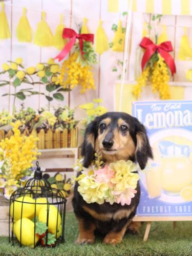 20240428クロスちゃん